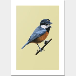 Varied tit Posters and Art